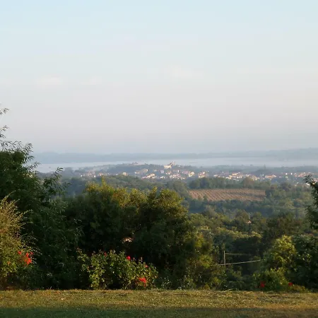 Panorama *